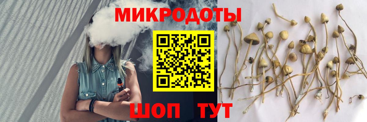 купить наркотики сайты  Галлюциногенные грибы Magic Shrooms  Вход с VPN  Иваново 